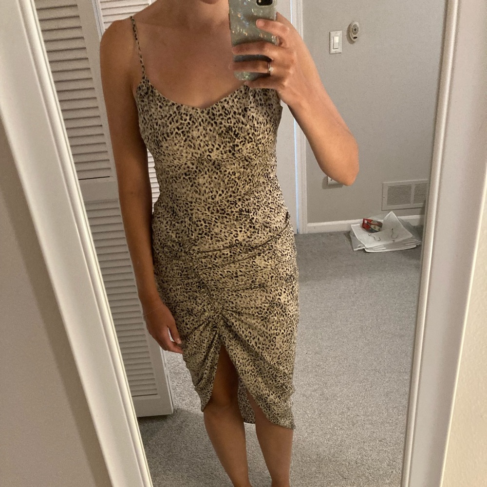 Bb Dakota animal print midi dress never worn new with tags